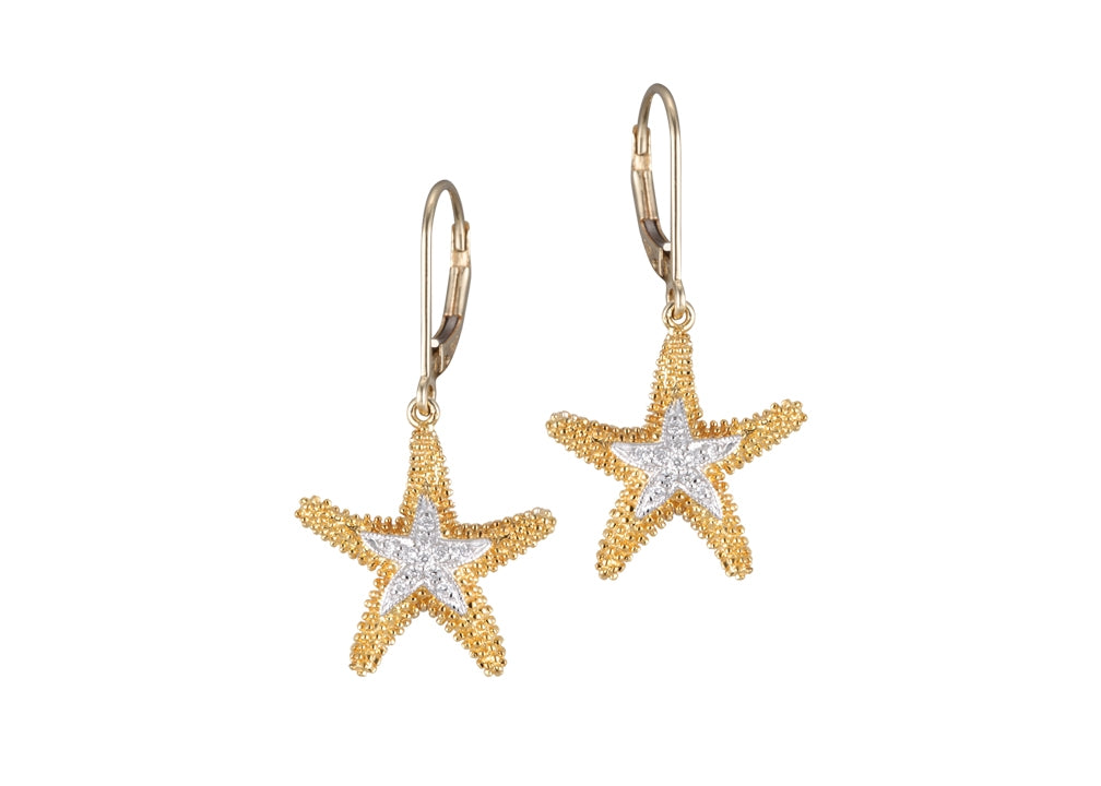 v00008482